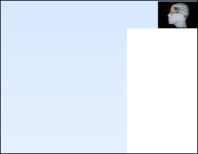 pmi_website003008.jpg
